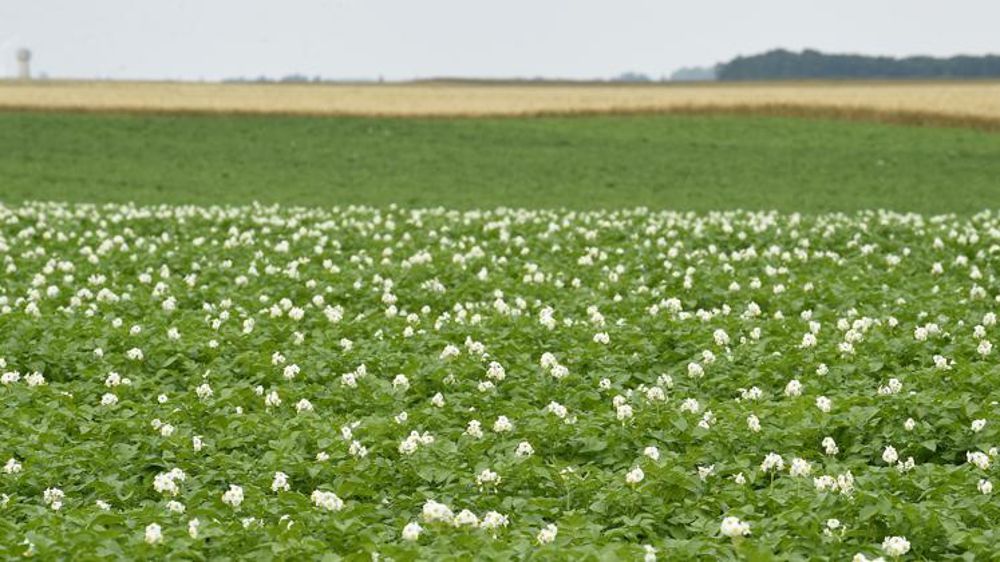 © Philippe  Montigny